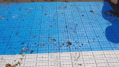 Photo of Napoli: Primo bagno di un disabile a Mappatella beach