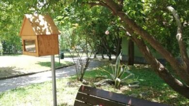 Photo of Visciano: Nata la biblioteca all’aperto