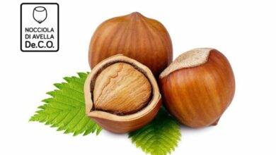 Photo of Avella: via libera alla produzione della Nocciola con il marchio De.C.O.
