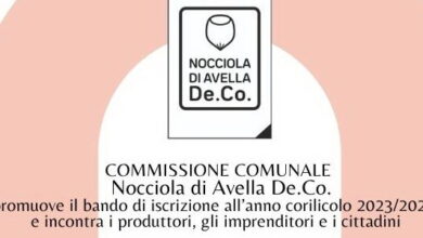 Photo of Avella / Nocciola marchio De.Co.: Si riunisce la Commissione per promuovere il bando di iscrizione all’anno corilicolo 2023/2024 e per l’apertura delle iscrizioni