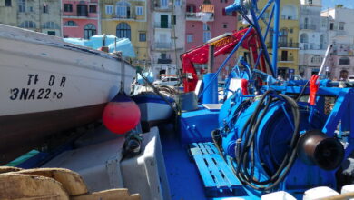 Photo of Procida /Alla due giorni europea del FEAMP:«Il futuro NELLA tradizione», l’oro blu della Campania
