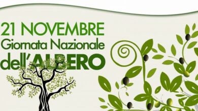 Photo of Baiano / Giornata Nazionale degli Alberi: Si presentano i Mai d’Argento