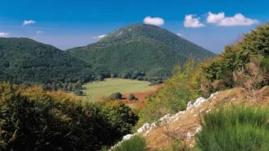 Photo of Partenio: ora si può arrivare a Piano di Lauro anche dal Ciglio