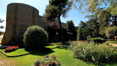 Photo of Ariano Bio Festival d’Irpinia dal 13 settembre nella Villa Comunale