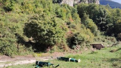 Photo of Avella: Lettera ad un concittadino che non ama la Natura