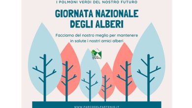 Photo of 𝐆iornata 𝐍azionale degli 𝐀lberi: 𝑰𝒍 𝑷𝒂𝒓𝒕𝒆𝒏𝒊𝒐 𝒆̀ 𝒖𝒏𝒂 𝒇𝒐𝒓𝒆𝒔𝒕𝒂 𝒅𝒊 𝒗𝒊𝒕𝒂