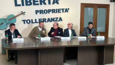 Photo of Carnevale di Palma Campania 2025: Francesco Cicchella è il nuovo Direttore Artistico