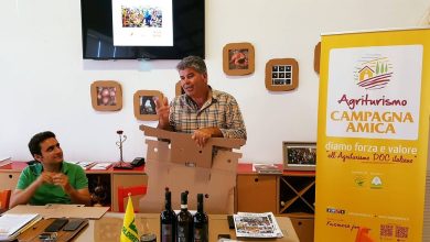Photo of Verso il Premio Anfiteatro d’Argento 2025: La GB agricola di Nicola Barbato tra le eccellenze della Campania per agricoltura e turismo