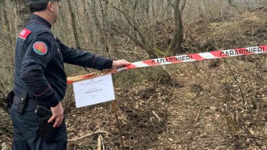 Photo of Trevico (Av): Distruzione di un bosco in un’area sottoposta a vincolo idrogeologico