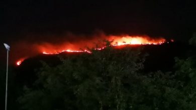 Photo of Roccarainola: La Foresta Demaniale in fiamme