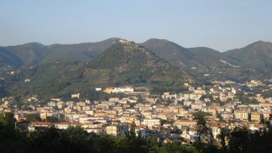 Photo of A Cava de’ Tirreni Sunflower Fest 2025