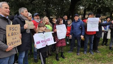 Photo of Reggia di Caserta: Manifestazione contro l’abbattimento di 750 lecci