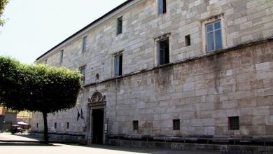 Photo of Il Tribunale ordina ai Comuni di Roccarainola e Nola l’attuazione del PEI: tutela immediata per il diritto allo studio