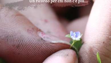 Photo of Brusciano ha pianto la morte del poeta Antonio Cerciello