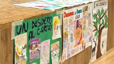 Photo of I.C. Giovanni XXIII – Parini Baiano-Sperone: 300 ragazze e ragazzi il bel faro del Festival della lettura, con incontri speciali con gli autori