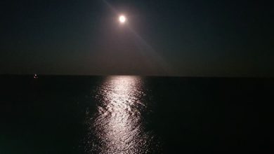 Photo of Requiem per i giorni che non tornano