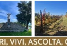 Photo of Giornate FAI d’Autunno: l’Eremo dei Camaldoli di Visciano protagonista