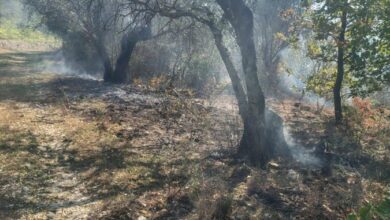 Photo of Mugnano del Cardinale/Località Cugnulo: Incendio in un fondo privato
